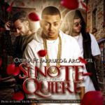 Ozuna Ft. Arcangel Y Farruko - Si No Te Quiere Remix